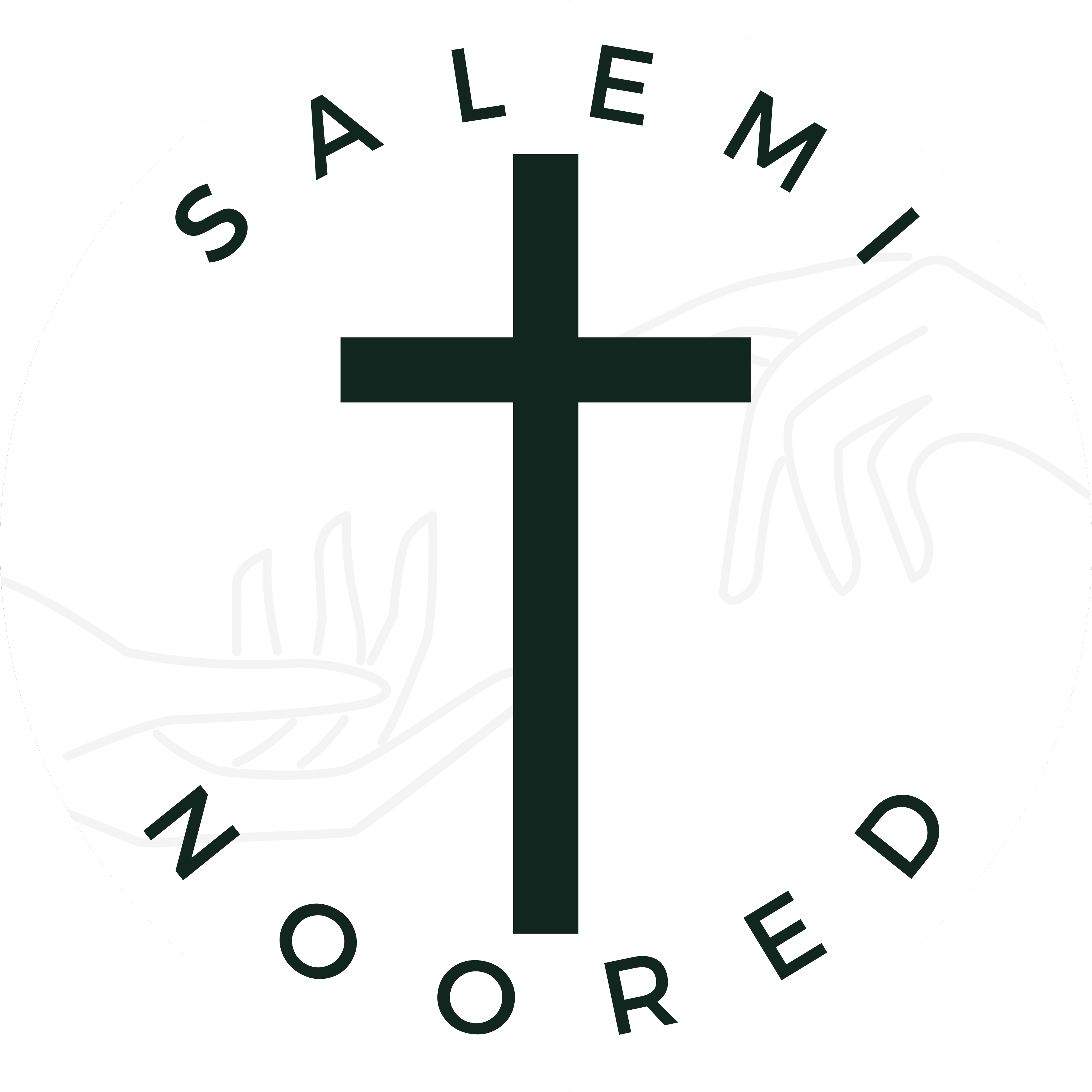 Salemi Noored logo
